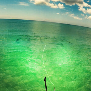 Boca Grande Tarpon Fly Fishing