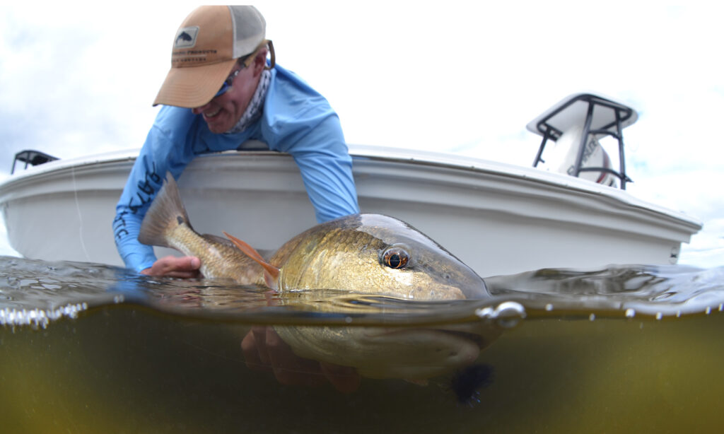 Redfish Photography by Steve Hall