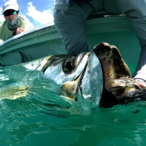 Boca Grande Tarpon Fly Fishing