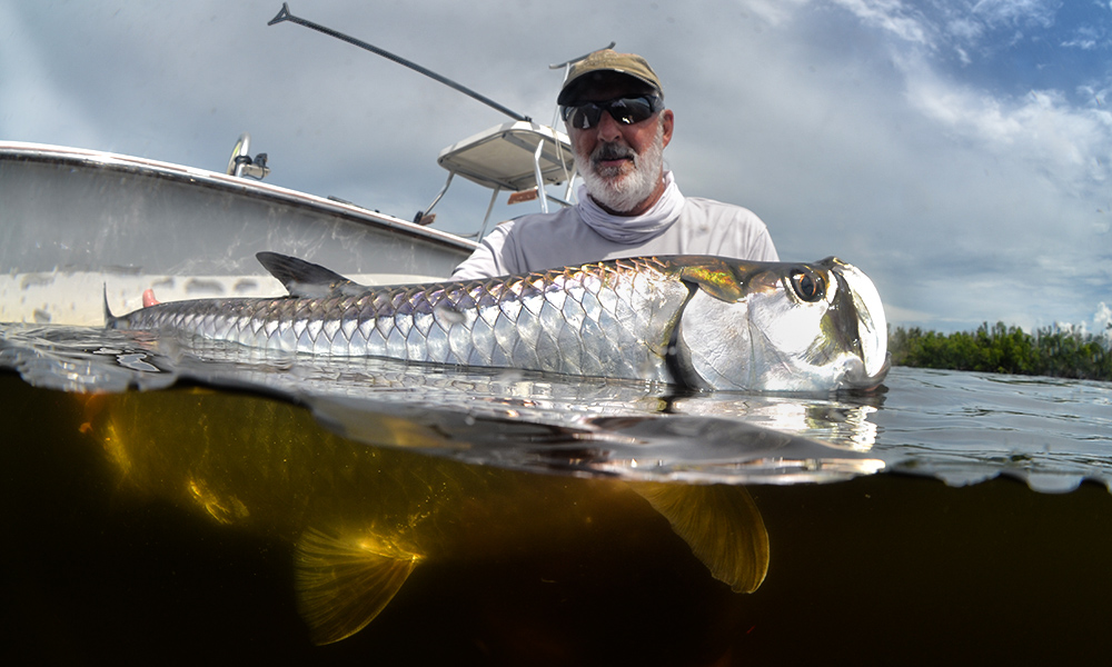 Tarpon Photography by Steve Hall