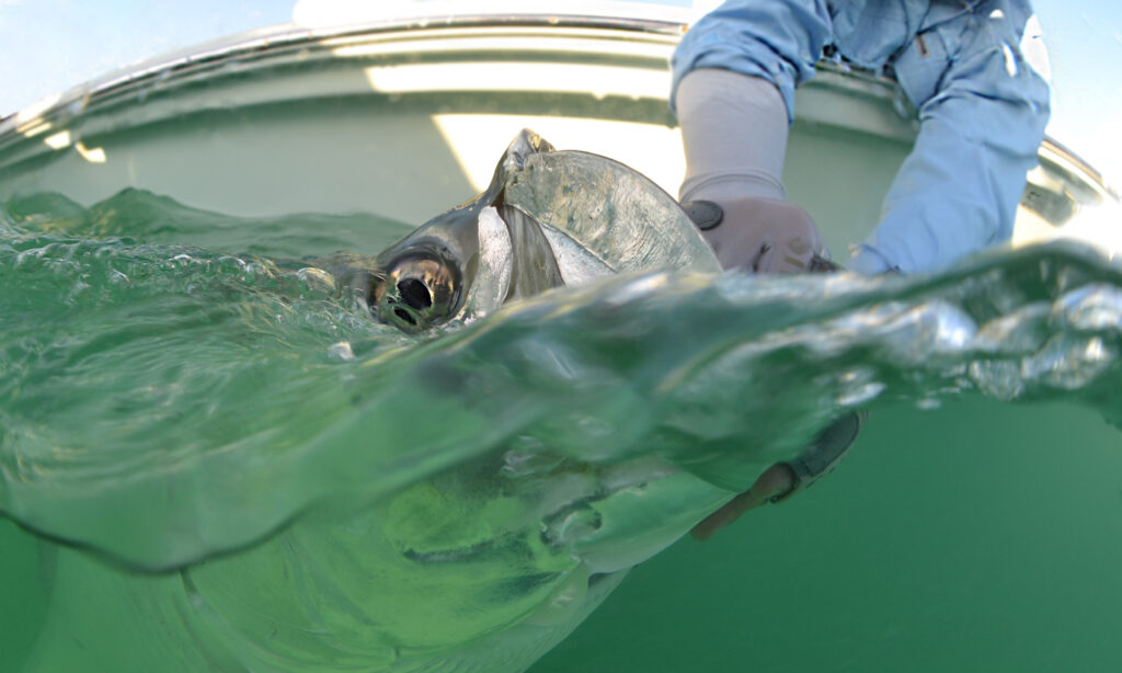 Fly Fishing Photography by Steve Hall