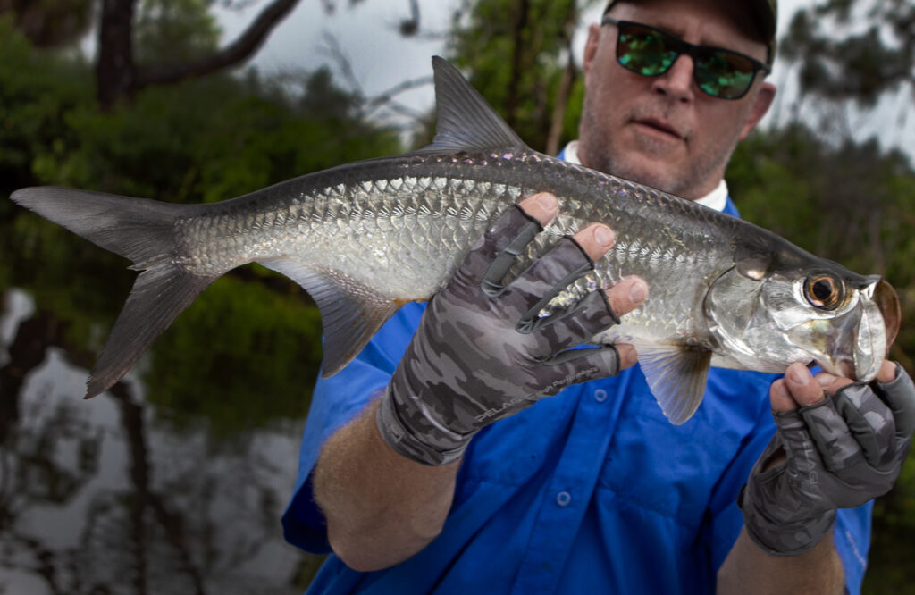 Fly Fishing Tarpon Bucket List