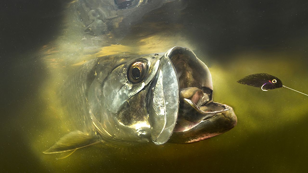 Fly Fishing Photography