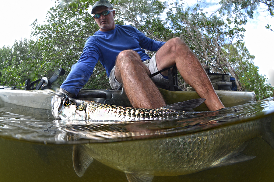 Best Kayak Launch Spots in Charlotte Harbor