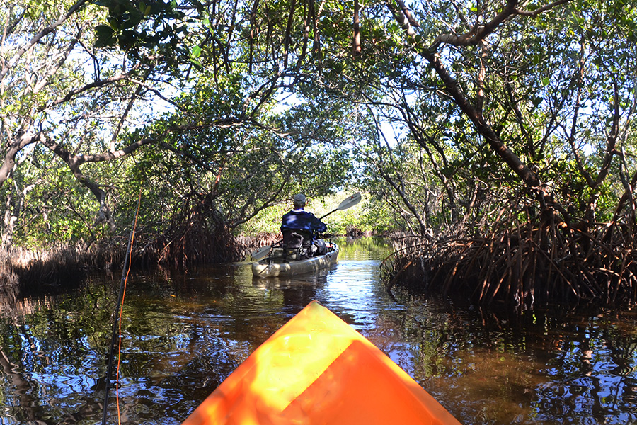 Best Kayak Launch Spots in Charlotte Harbor